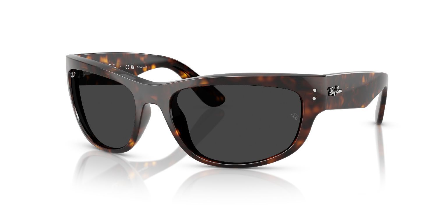 Ray-Ban Quadratisch Sonnenbrillen 0RB2289 Schildpatt für Damen/Herren