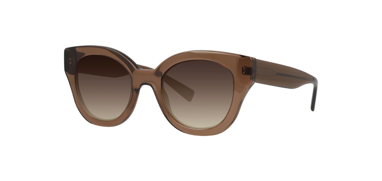 DbyD Schmetterling Sonnenbrillen 0DB4049 Braun für Damen