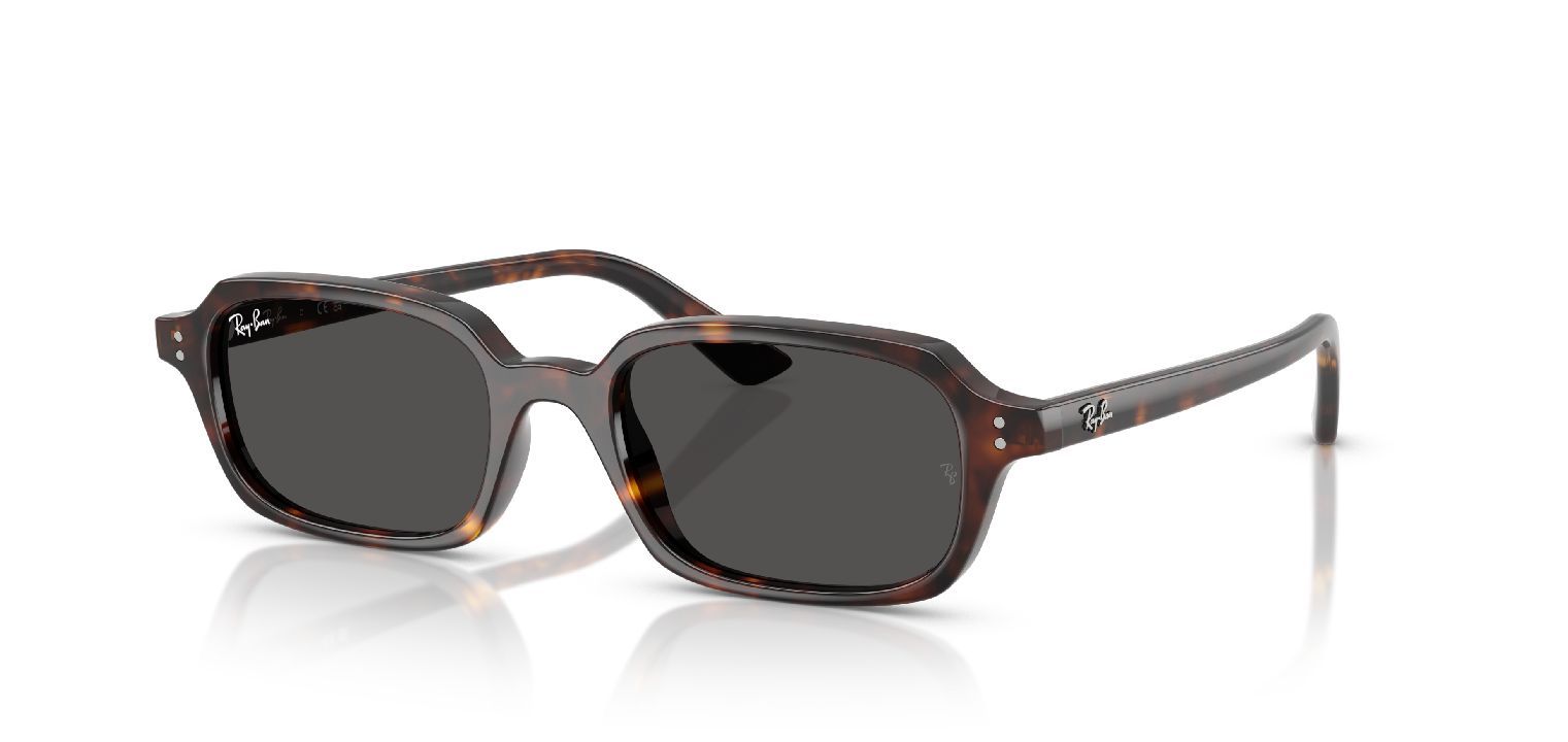Ray-Ban Quadratisch Sonnenbrillen 0RB4455 Havana für Damen/Herren
